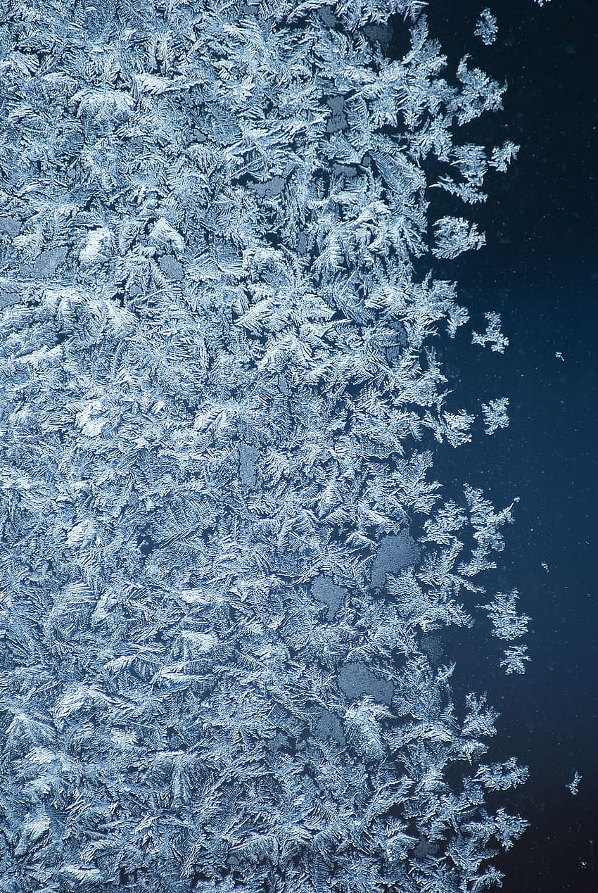 : Winter, Frost, Schneeflocken, Voll, Kälte, keine Menschen, dunkler Frost HD-Handy-Hintergrundbild