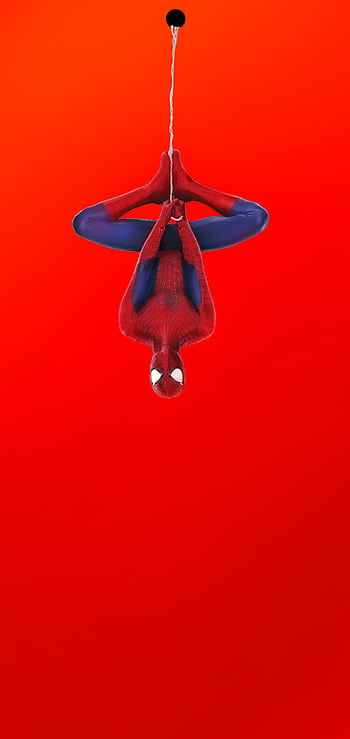 Spiderman spider web HD wallpapers | Pxfuel