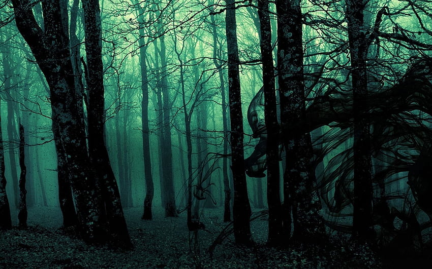 Dark Creepy Forest - Background Warrior Cats Dark Forest - - , Dark Scary Forest HD wallpaper