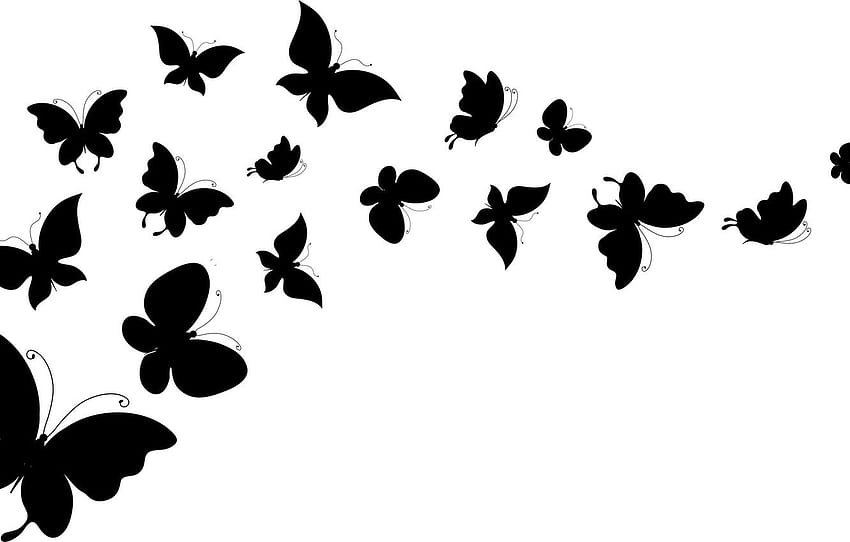 White, Butterfly, Background, Wings - Flying Butterflies Clipart Black And  White - & Background HD wallpaper | Pxfuel
