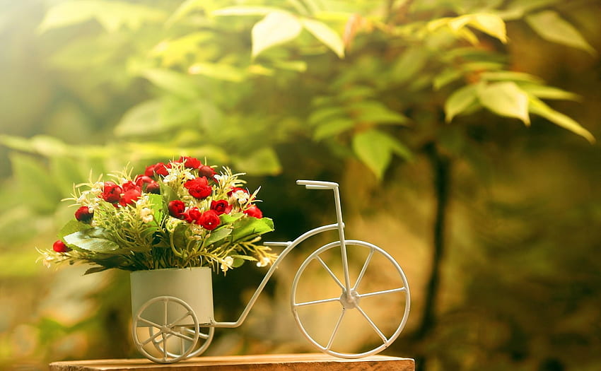 Flowers, Bicycle, Sharpness, Capacity, Capacitance HD wallpaper