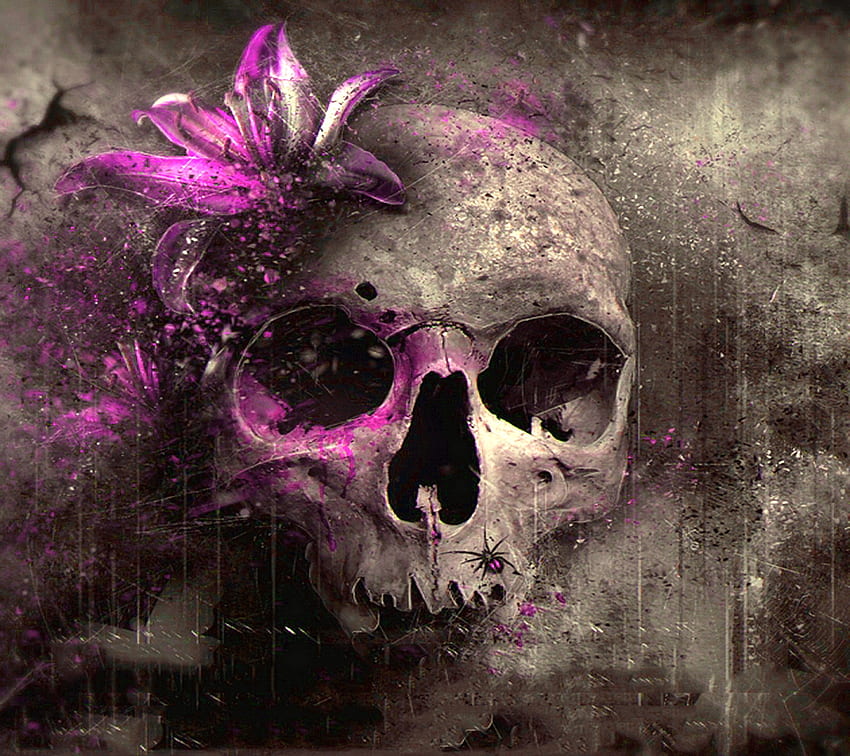 50 Free Purple Skull Mobile Wallpapers  WallpaperSafari