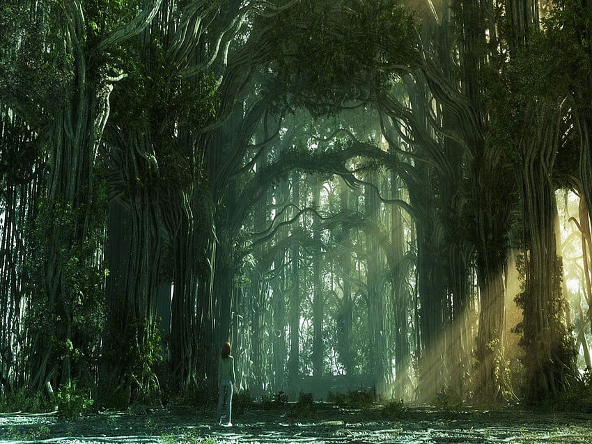 Gotischer Waldhintergrund. um 19.58 Uhr Labels cool forest . Fantasy-Kunstlandschaften, Fantasy-Wald, Fantasy-Landschaft, Mystery Forest HD-Hintergrundbild