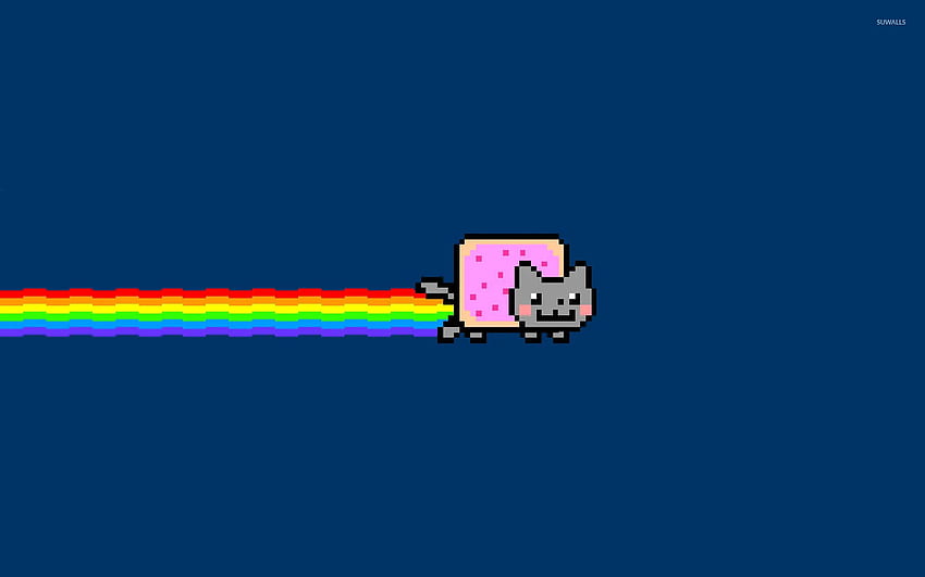 Nyan cat [5] - Meme , Meme HD wallpaper