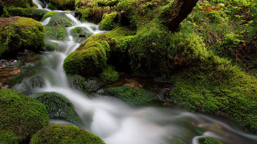 Водопаден поток между покрити със зелени водорасли скали Горски фон Природа HD тапет