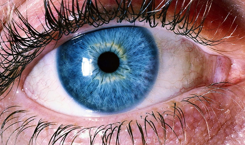 Blue Human Eye · Stock HD wallpaper