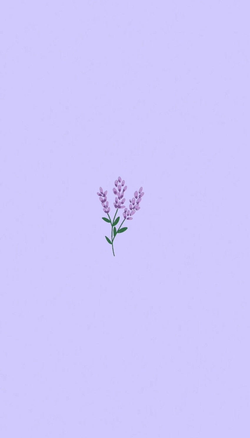 Lavender, Cute Simple Flower HD phone wallpaper | Pxfuel