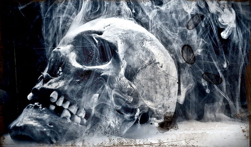 Smoking Skull . My Sims 3 s HD wallpaper