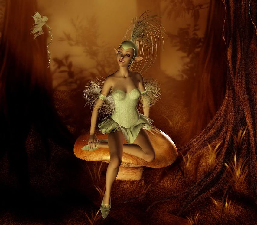 Forest Magic, fairy, faerie, grasses, mushroom, elf, forest HD wallpaper