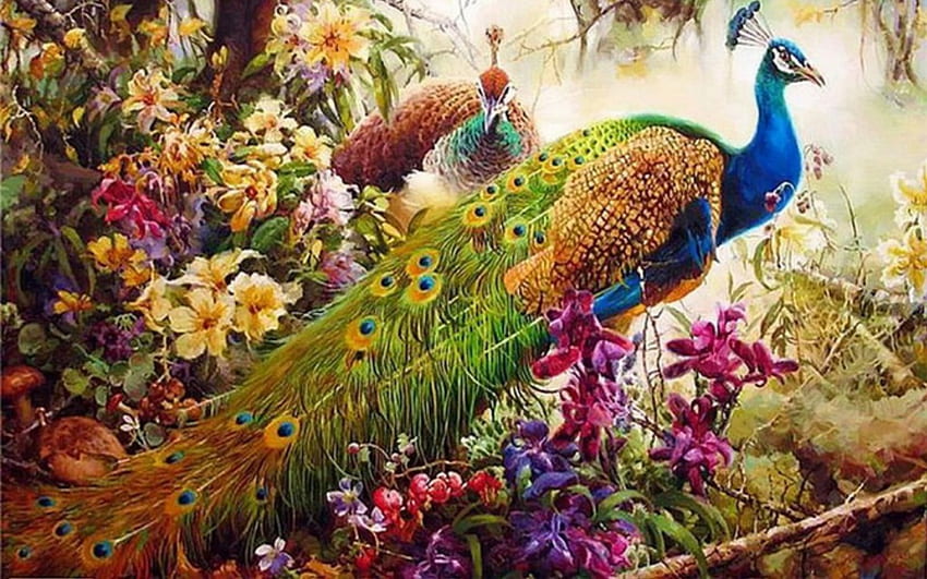 Peacocks, frumusete, painting, bird, paun, art, pictura, peacock, pasari HD wallpaper