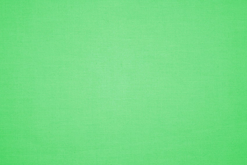 FR:31 สีเขียวอ่อน - จอกว้าง : สีเขียวอ่อน, 32, สีเขียวพาสเทลสีฟ้า วอลล์เปเปอร์ HD
