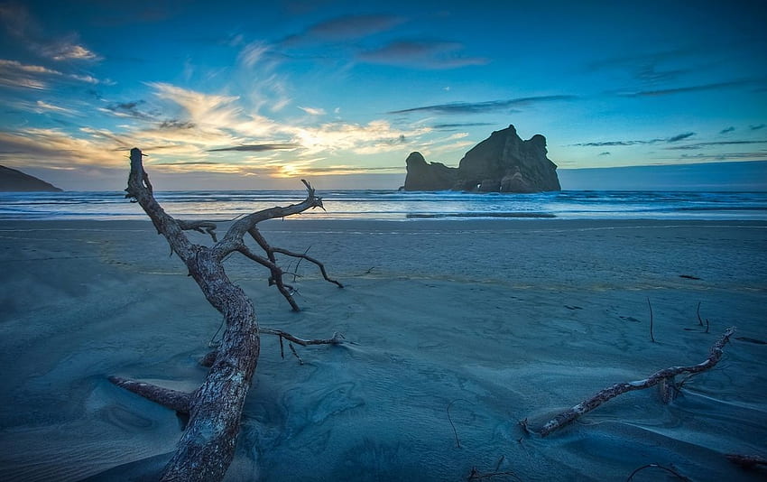 New Zealand Beach Sea Wood . New Zealand Beach Sea Wood stock , New Zealand Beaches HD wallpaper