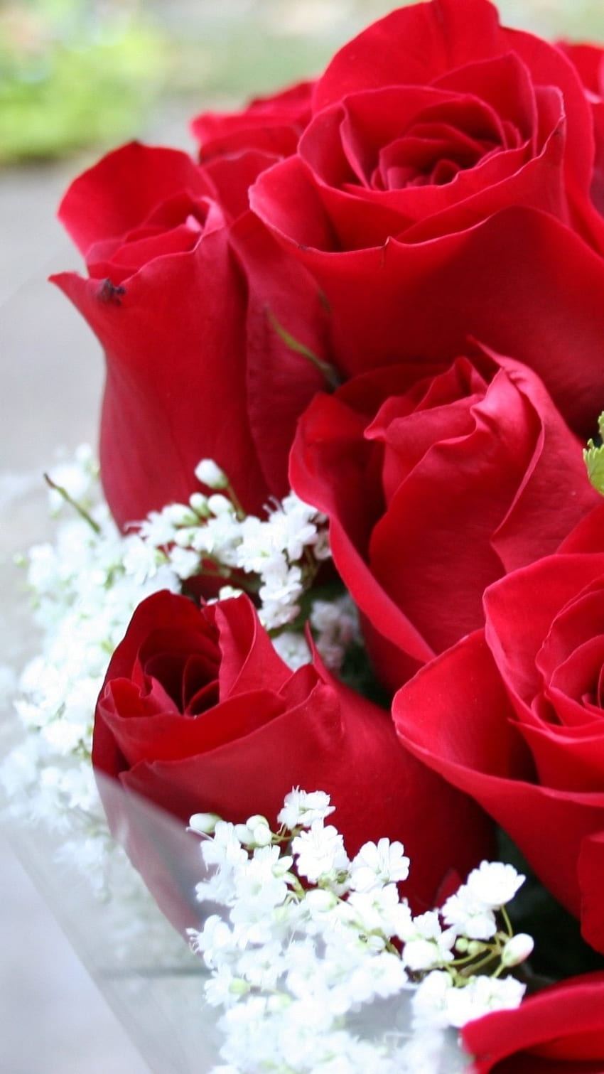 Beautiful Flowers Roses, Rose, Bouquet, Red Rose Hd Phone Wallpaper | Pxfuel