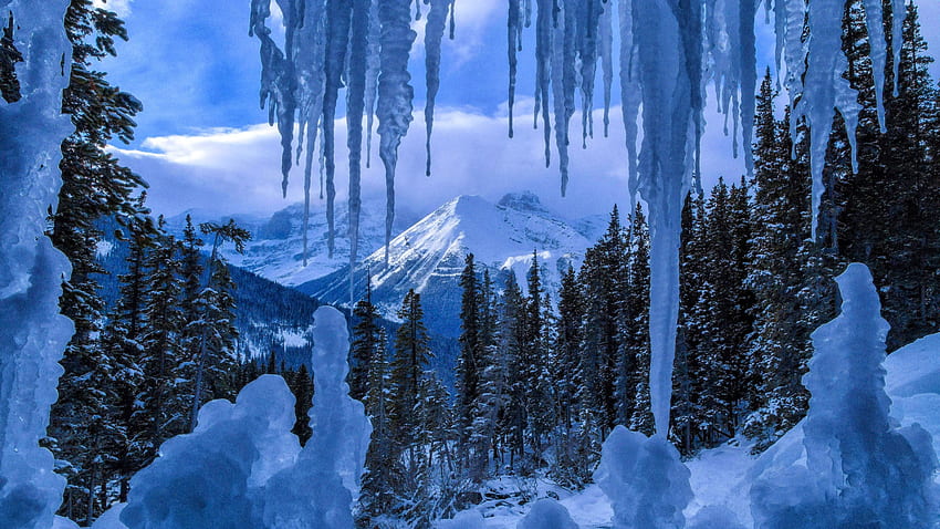 Zima w Parku Narodowym Jasper w Kanadzie, lód, zima, śnieg, Kanada, drzewa, Park Narodowy Jasper, góra Tapeta HD