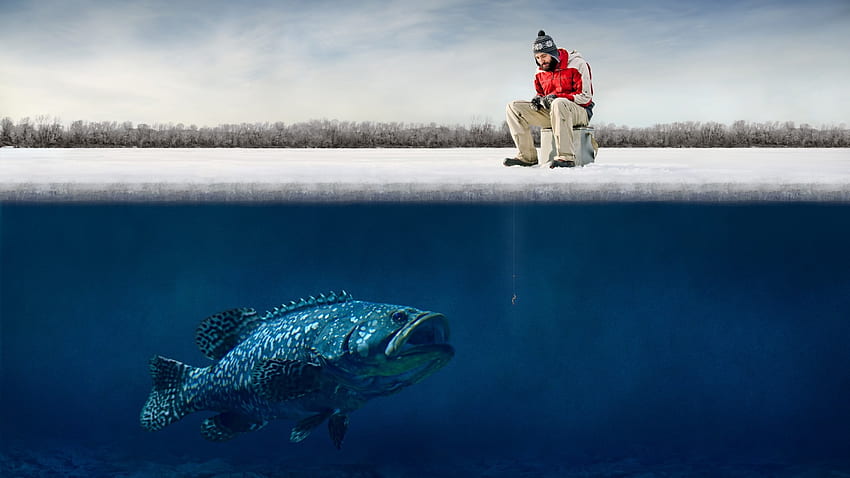 คนตลก น้ำแข็ง ปลาใหญ่ เบ็ด อารมณ์ขัน ชาวประมง ฤดูหนาว ตกปลา เต็มรูปแบบ ที่น่าตื่นตาตื่นใจ สีสัน คุณ สี งานศิลปะ เต็ม วอลล์เปเปอร์ HD