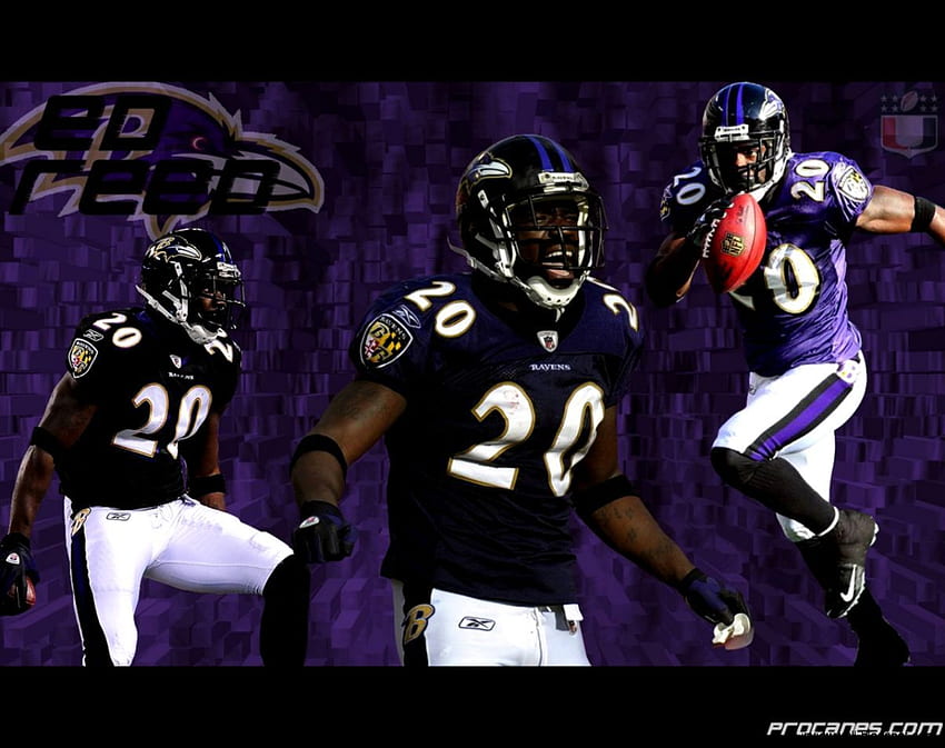 Ed Reed HD wallpaper | Pxfuel