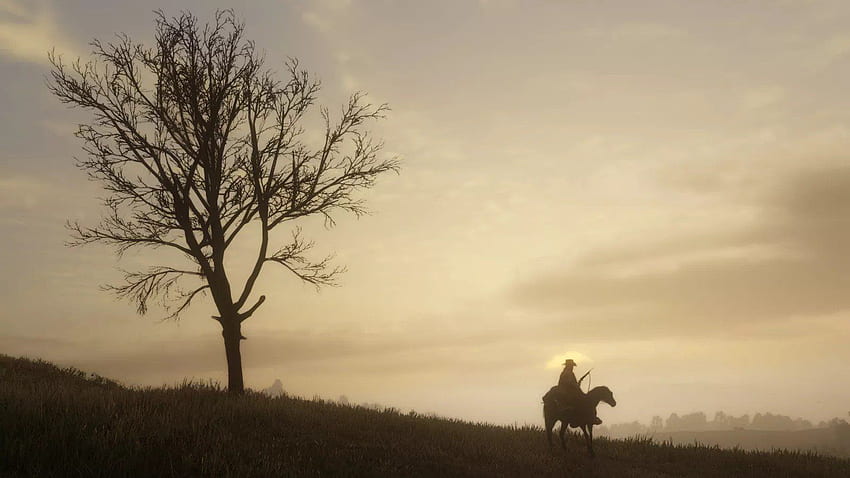 Два часа с удивително детайлната Red Dead Redemption 2. Kotaku, Horse Red Dead Redemption 2 HD тапет