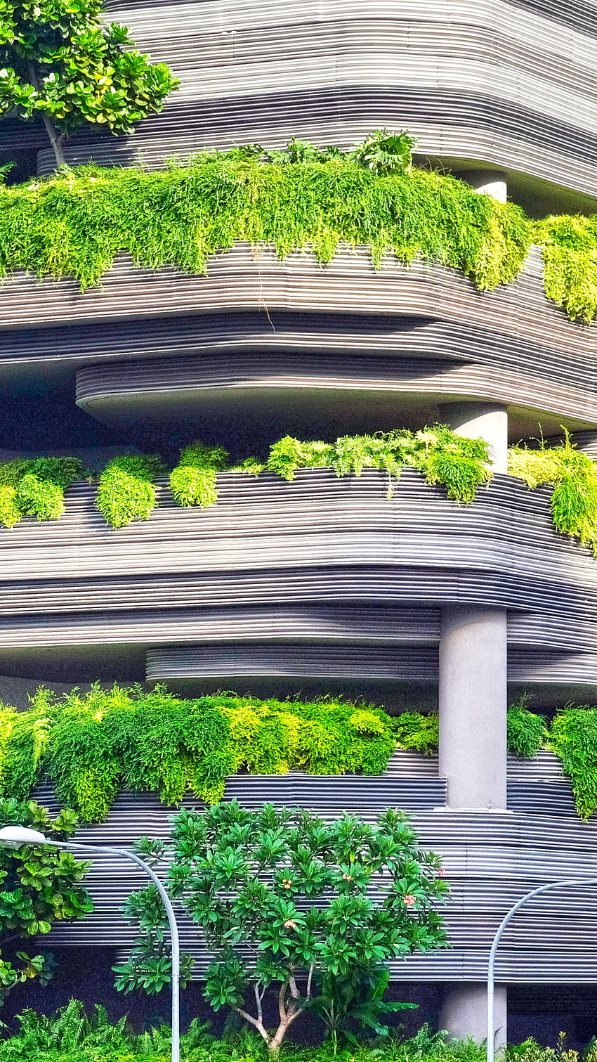 Ağaçlarla kaplı gri beton bina • Sizin İçin & Mobil İçin, Yeşil Binalar HD telefon duvar kağıdı
