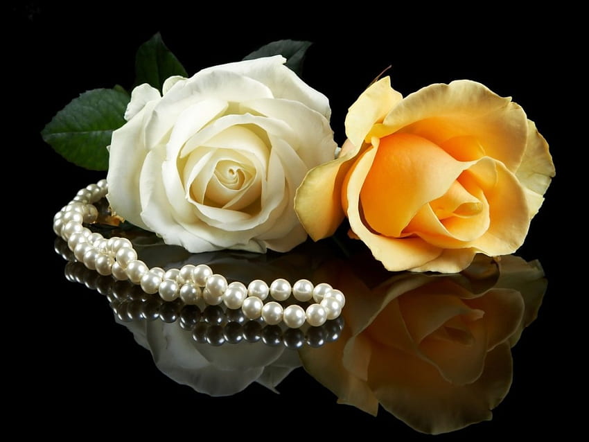 *** Wonderful Roses and Pearls ***, natura, roze, perly, kwiaty HD wallpaper