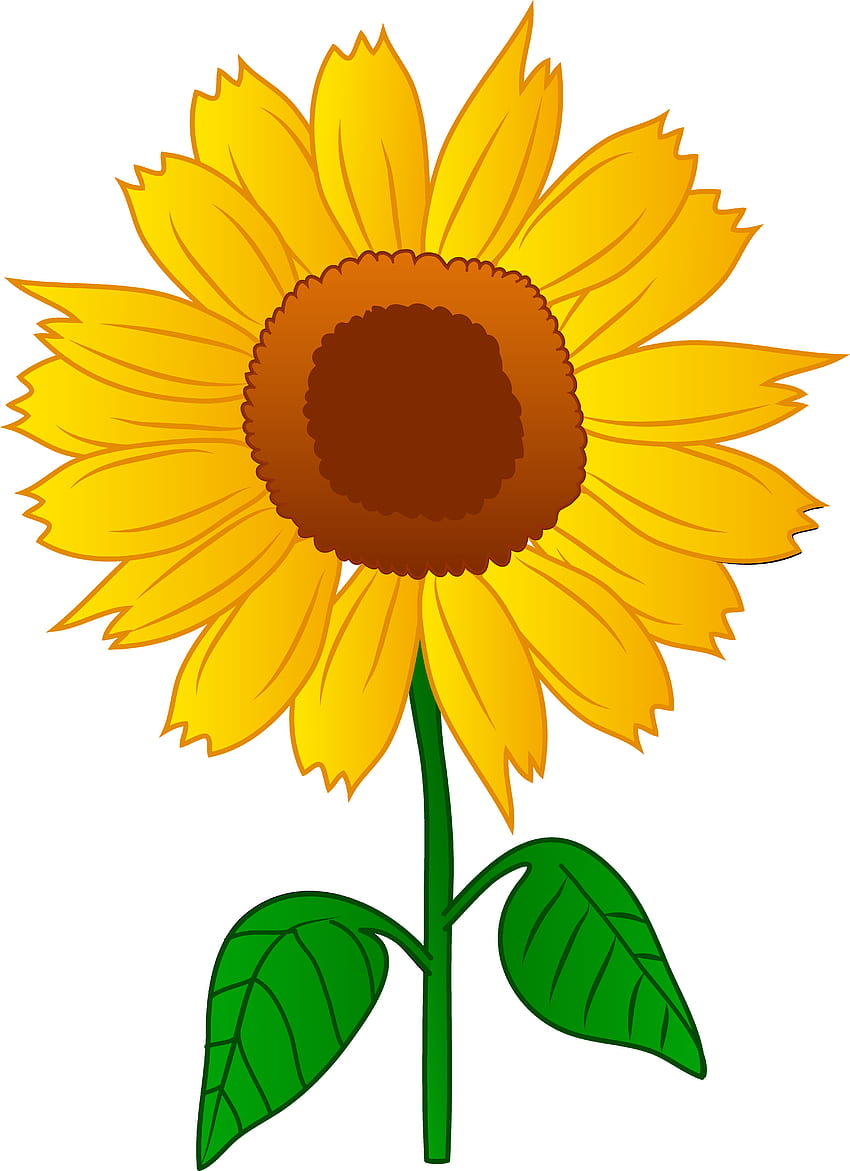Cartoon Sunflower, Clip Art, Clip Art, Sunflower Drawing HD phone wallpaper  | Pxfuel