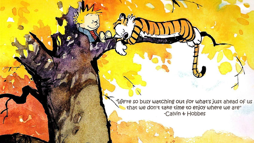 Histórico de Calvin e Hobbes, Calvin e Hobbs papel de parede HD