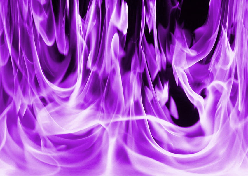Lila Feuer, lila Flammen HD-Hintergrundbild