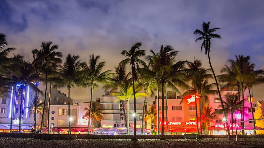 Miami Beach Gece Florida Wp380858 Canlı HD duvar kağıdı