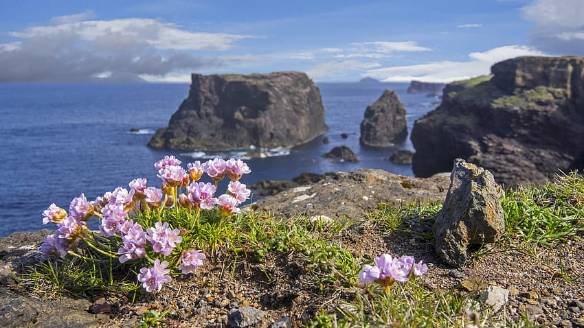 Lonely Planet: Shetland named in list of top European destinations - BBC News, Shetland Islands HD wallpaper