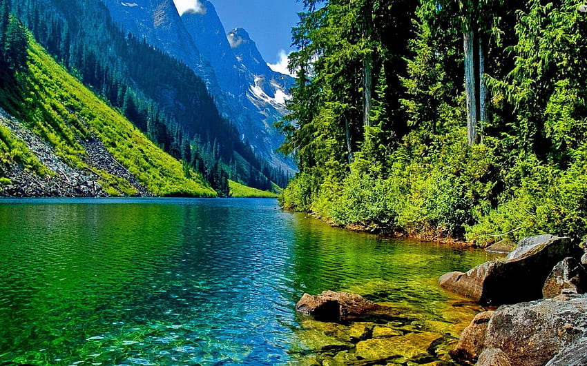 Air hijau di alam hijau yang indah [] untuk , Ponsel & Tablet Anda. Jelajahi Alam Hijau. Hijau Alam, Hijau Alam, Hijau Wallpaper HD