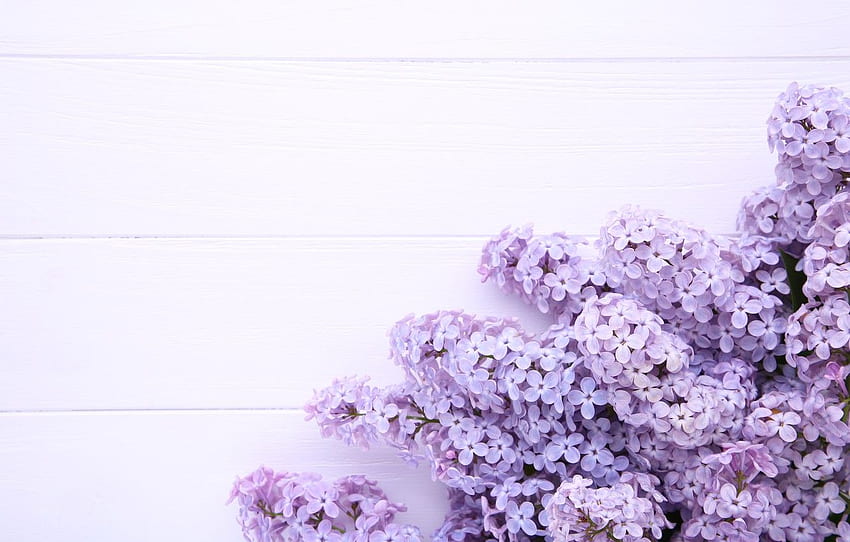 flowers, background, wood, flowers, lilac, purple, lilac for , section цветы, Lavender Floral HD wallpaper