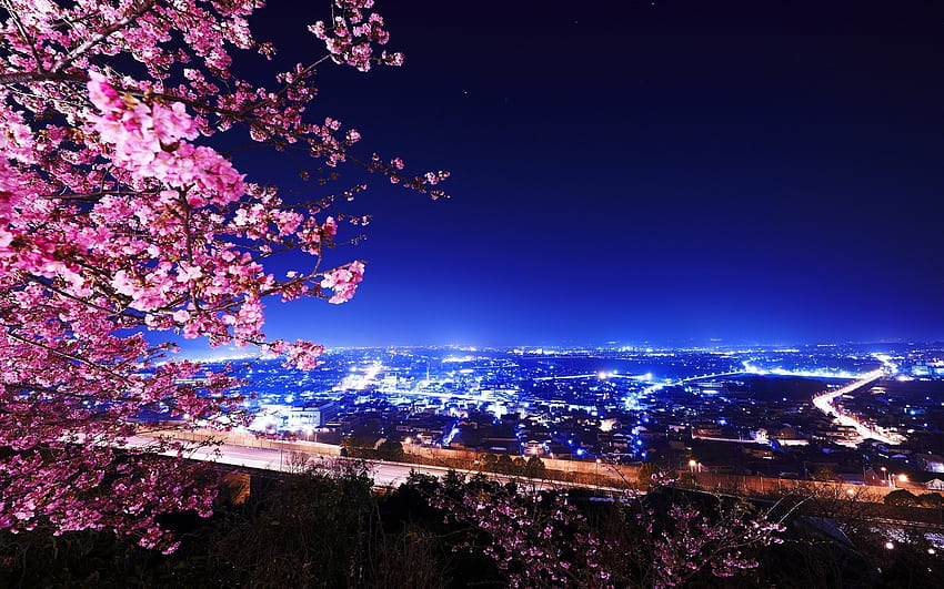 evening blossoms, night, city, graphy, beauty, tree, lights, cherry blossom, nature, sky HD wallpaper