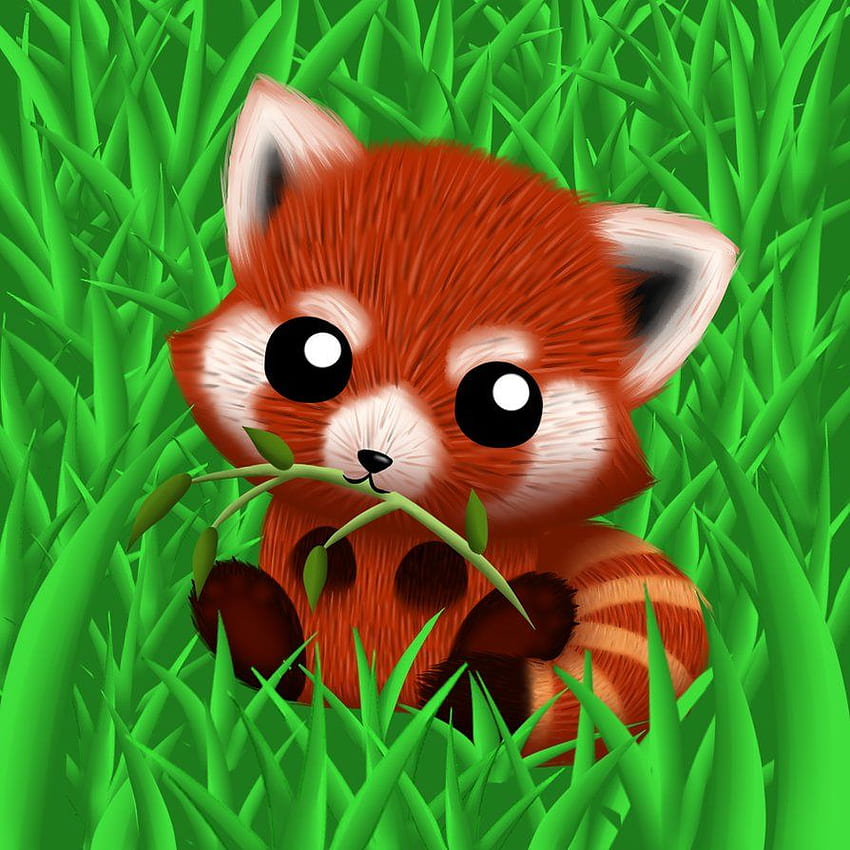 Collection of Cute Red Panda Drawing. High quality, Red Panda Kawaii HD phone wallpaper