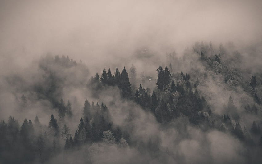 Montagna nebbiosa, montagna nebbiosa Sfondo HD