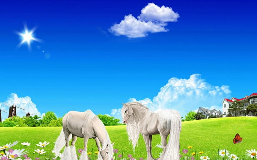 白い馬、夏、馬、白、美しい 高画質の壁紙