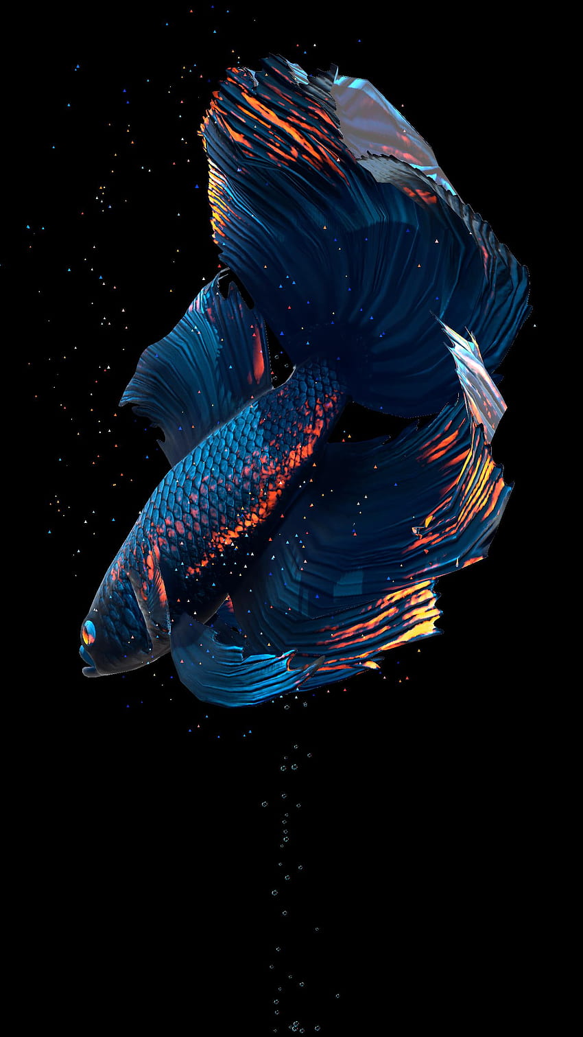 Betta Fish Live para Android, Blue Betta Fish fondo de pantalla del teléfono