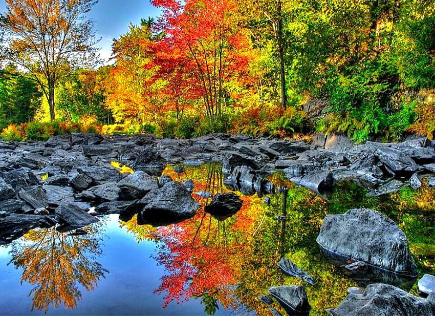 Fall on the rocks, river, orange, rocks, reflections, calm water, green, yellow, red, trees, autumn HD wallpaper