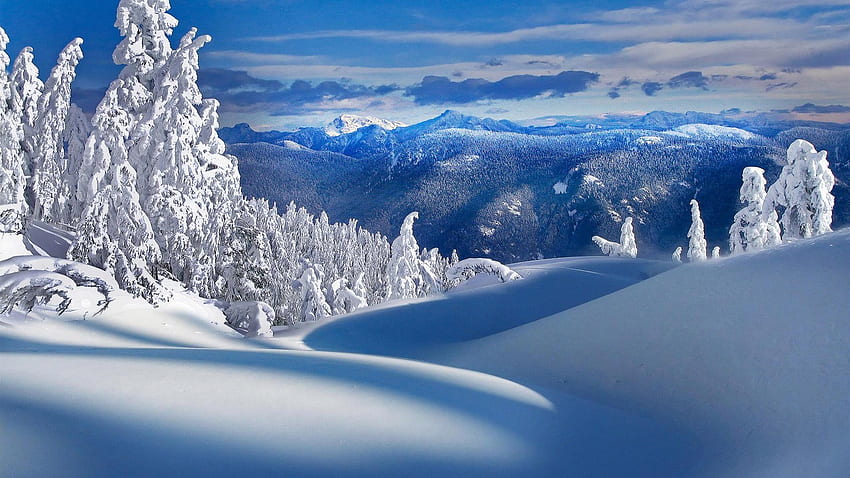 Сняг, снежен пейзаж HD тапет