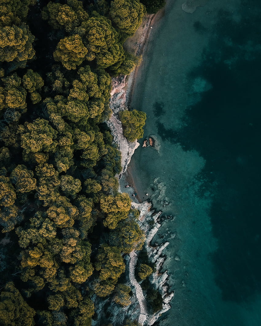 Aerial view, coast, green trees, nature HD phone wallpaper
