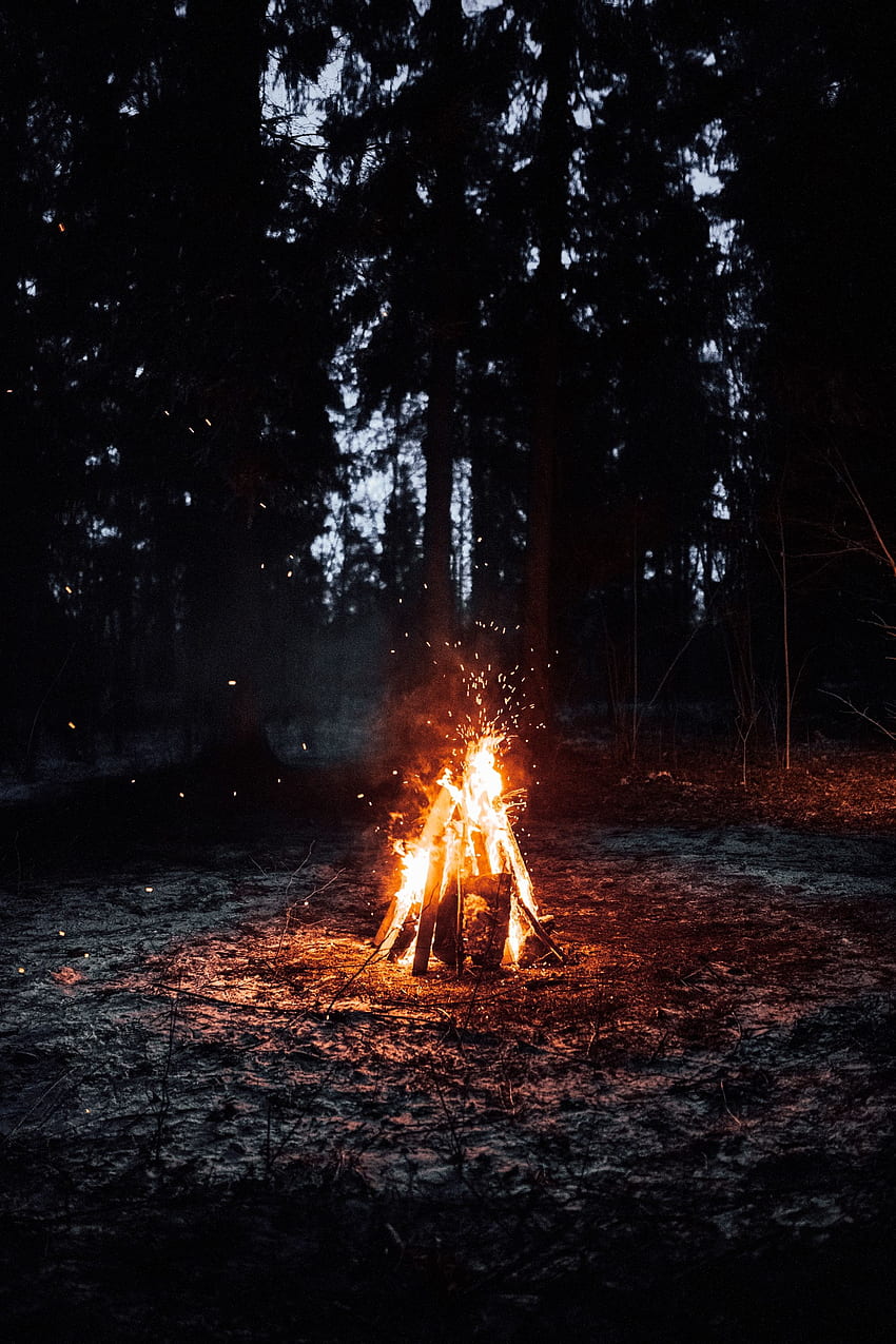 Fire, Bonfire, Dark, Sparks, Camping, Campsite HD phone wallpaper