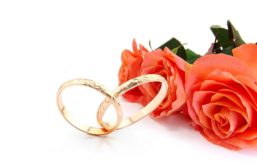 flowers, roses, flowers, engagement rings, roses, wedding rings for , section цветы HD wallpaper