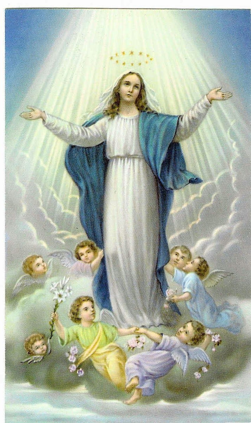 Annahme . Mariä Himmelfahrt, selige Jungfrau Maria HD-Handy-Hintergrundbild