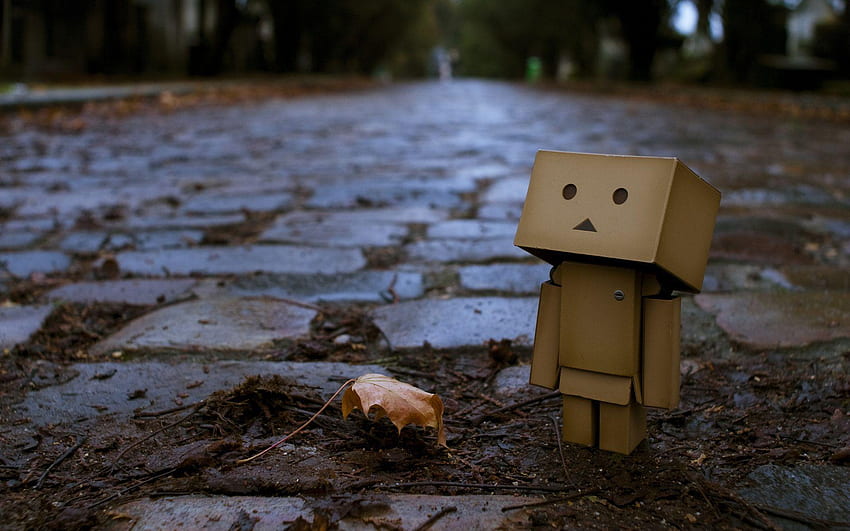 Awesome Pics For, Danboard HD wallpaper