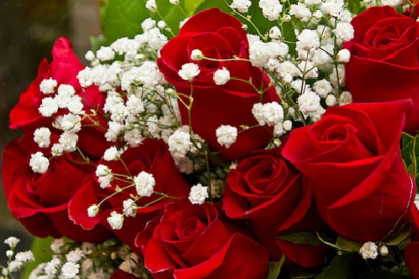 Red Roses Bouquet Love Beautiful Passion Hd Wallpaper Pxfuel