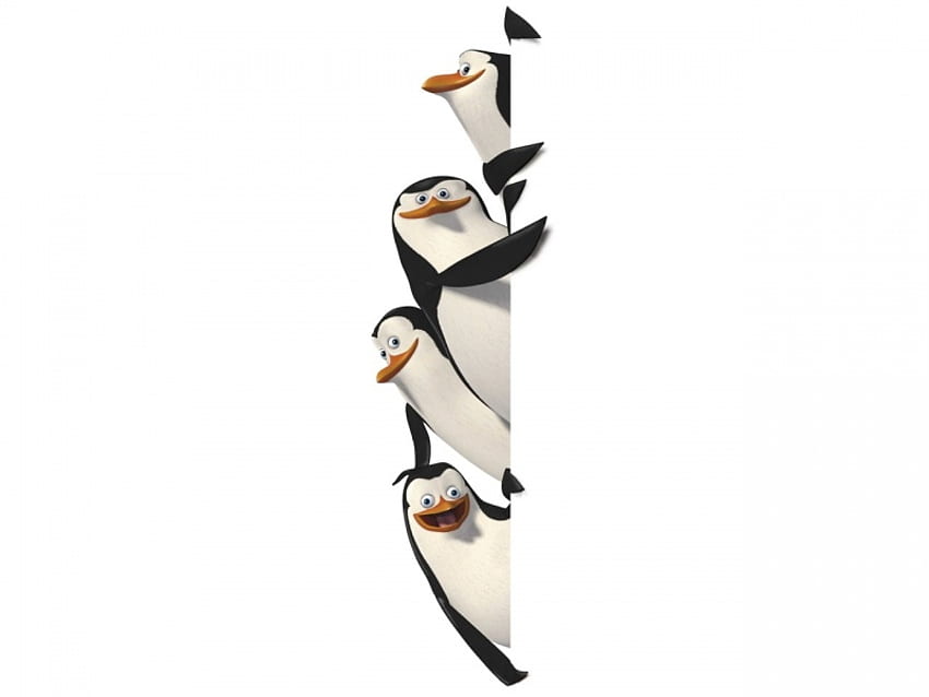 Мадага-Пингвин, мадагаскар, пингвин, 3d, филм HD тапет