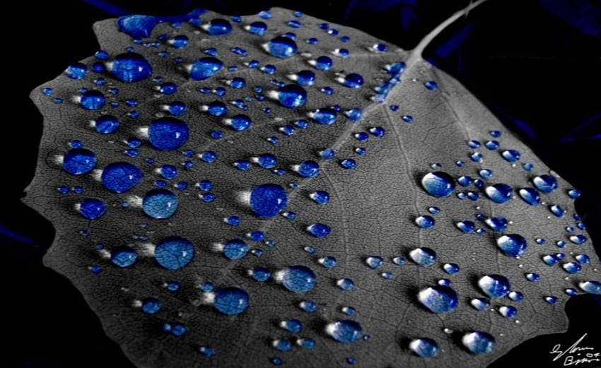 Blue Rain Drops, сини, абстрактни HD тапет