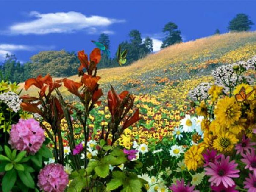 OGRÓD MOTYLI, motyle, różne kolory, ogród, niebo, góry Tapeta HD