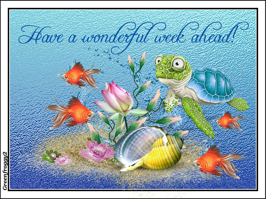 WONDERFUL WEEK, COMMENT, WEEK, CARD, WONDERFUL HD wallpaper | Pxfuel