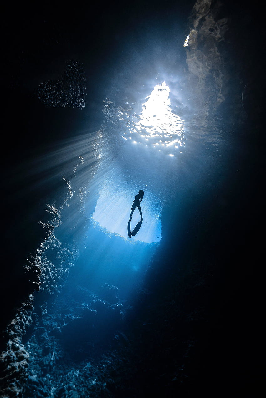 Scuba diver, under-water, silhouette, sea HD phone wallpaper