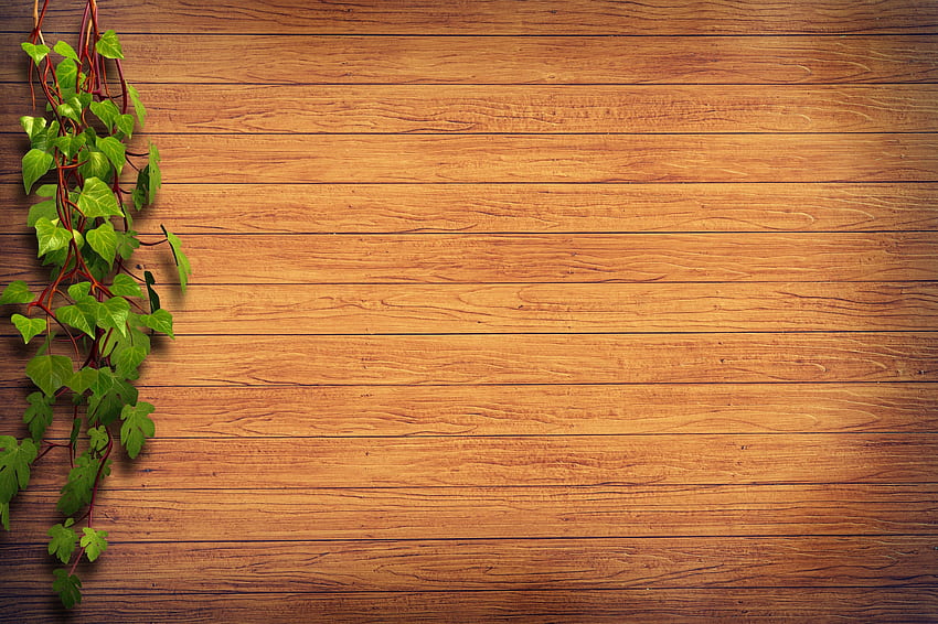 Braune Holzoberfläche neben grüner Pflanzenillustration · Lager HD-Hintergrundbild