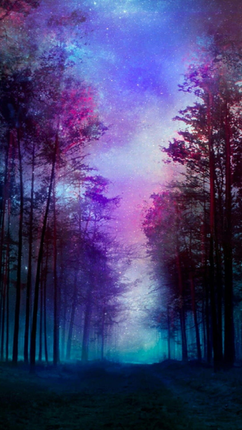 Enchanted forest HD wallpapers  Pxfuel